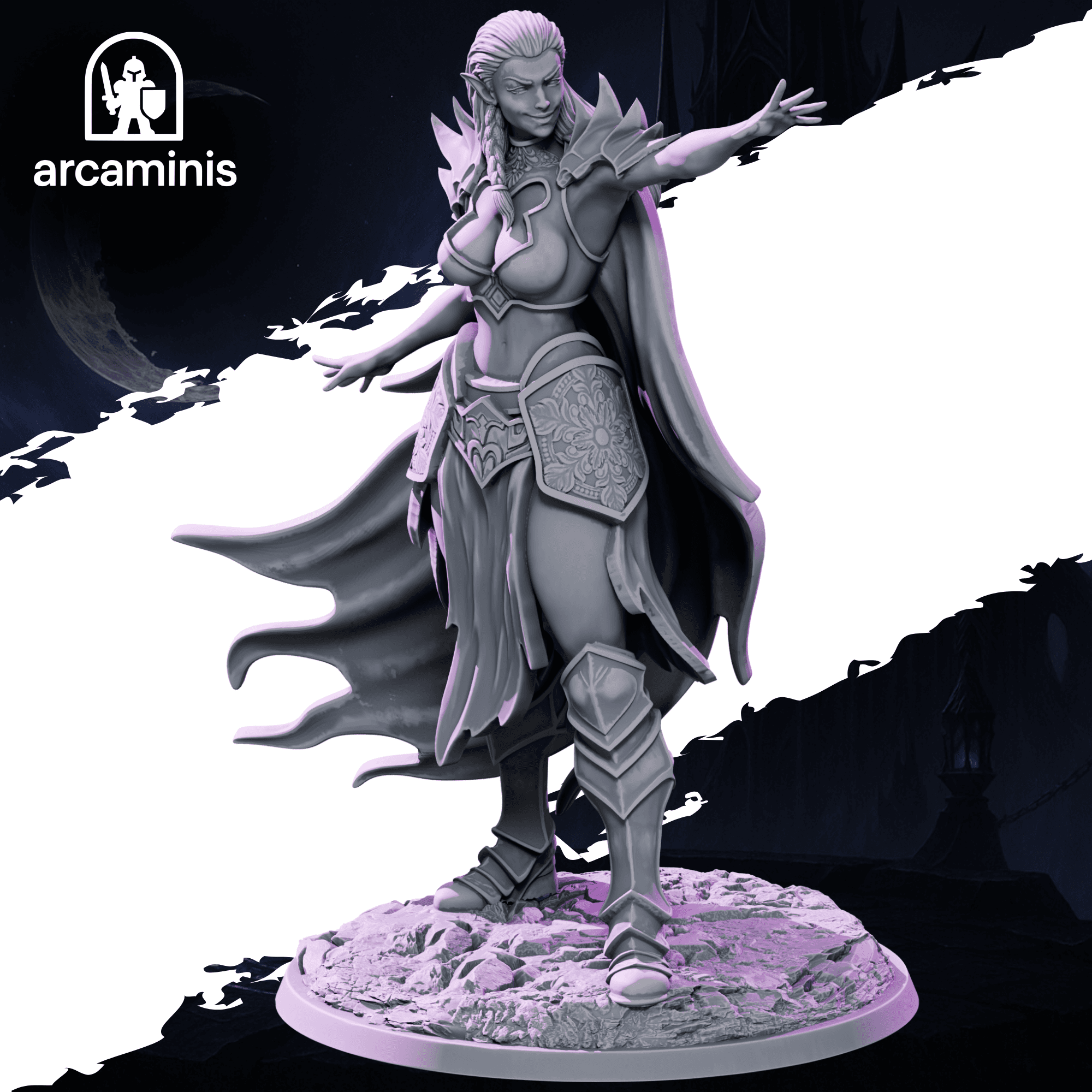 Dark Elf Female Champion 