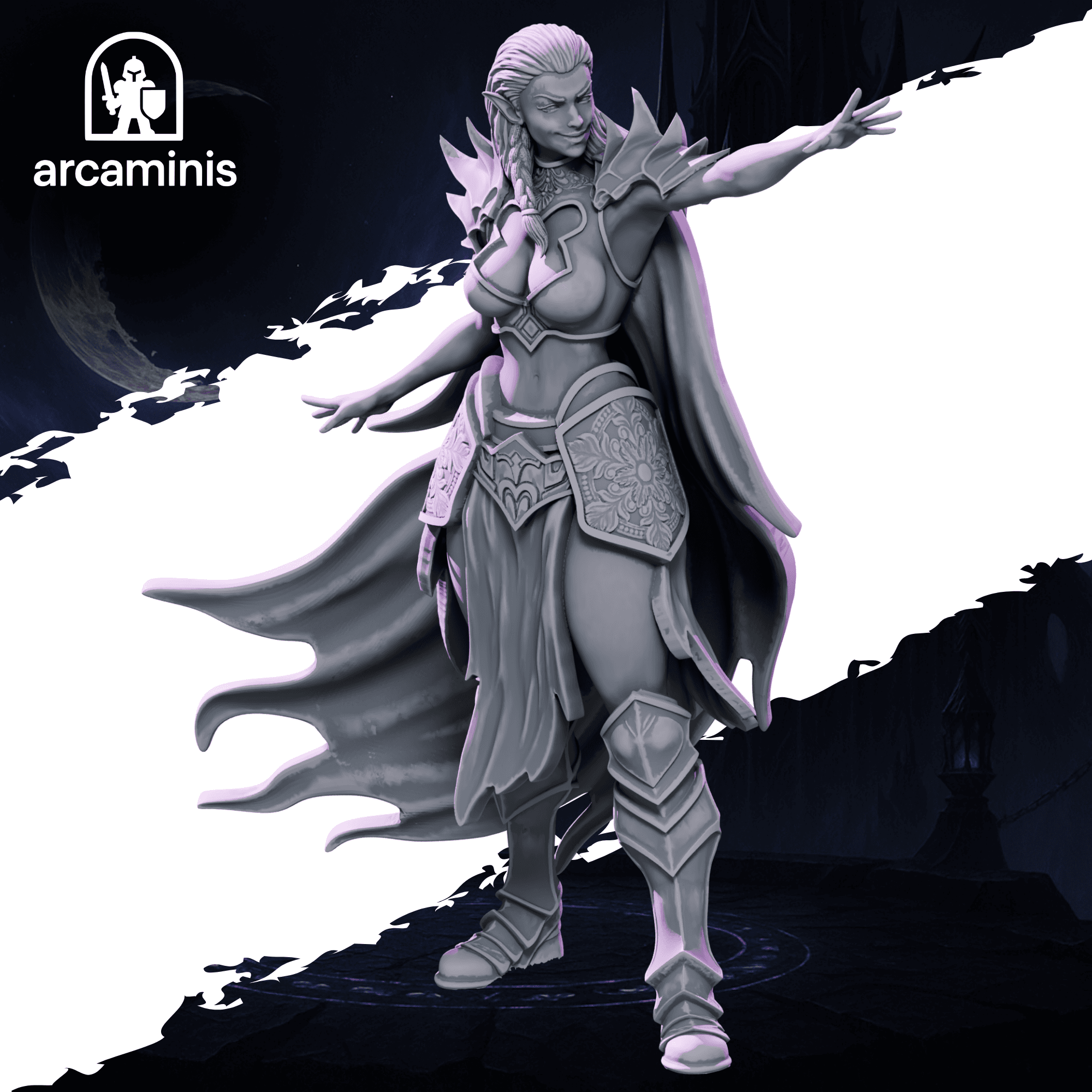 Dark Elf Female Champion  #2